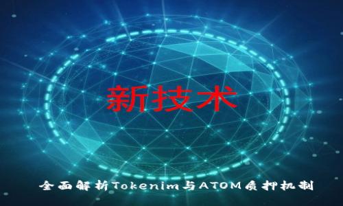 全面解析Tokenim与ATOM质押机制