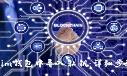 :
如何在Tokenim钱包中导入私钥:详细步骤及注意事项