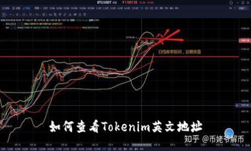 如何查看Tokenim英文地址