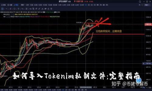 如何导入Tokenim私钥文件:完整指南