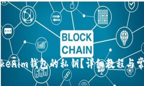 如何找回Tokenim钱包的私钥？详细教程与常见问题解析