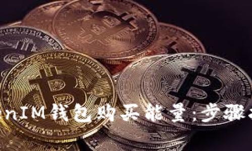 如何通过TokenTokenIM钱包购买能量：步骤指南与常见问题解答