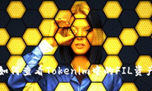 如何查看Tokenim中的FIL资产