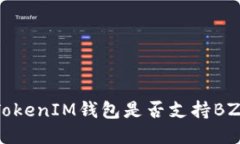 TokenTokenIM钱包是否支持B